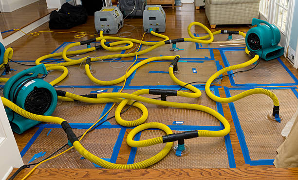 Professional Burst Pipe Water Damage technician working in Camby, IN